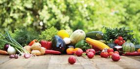 Farmtotable2 0